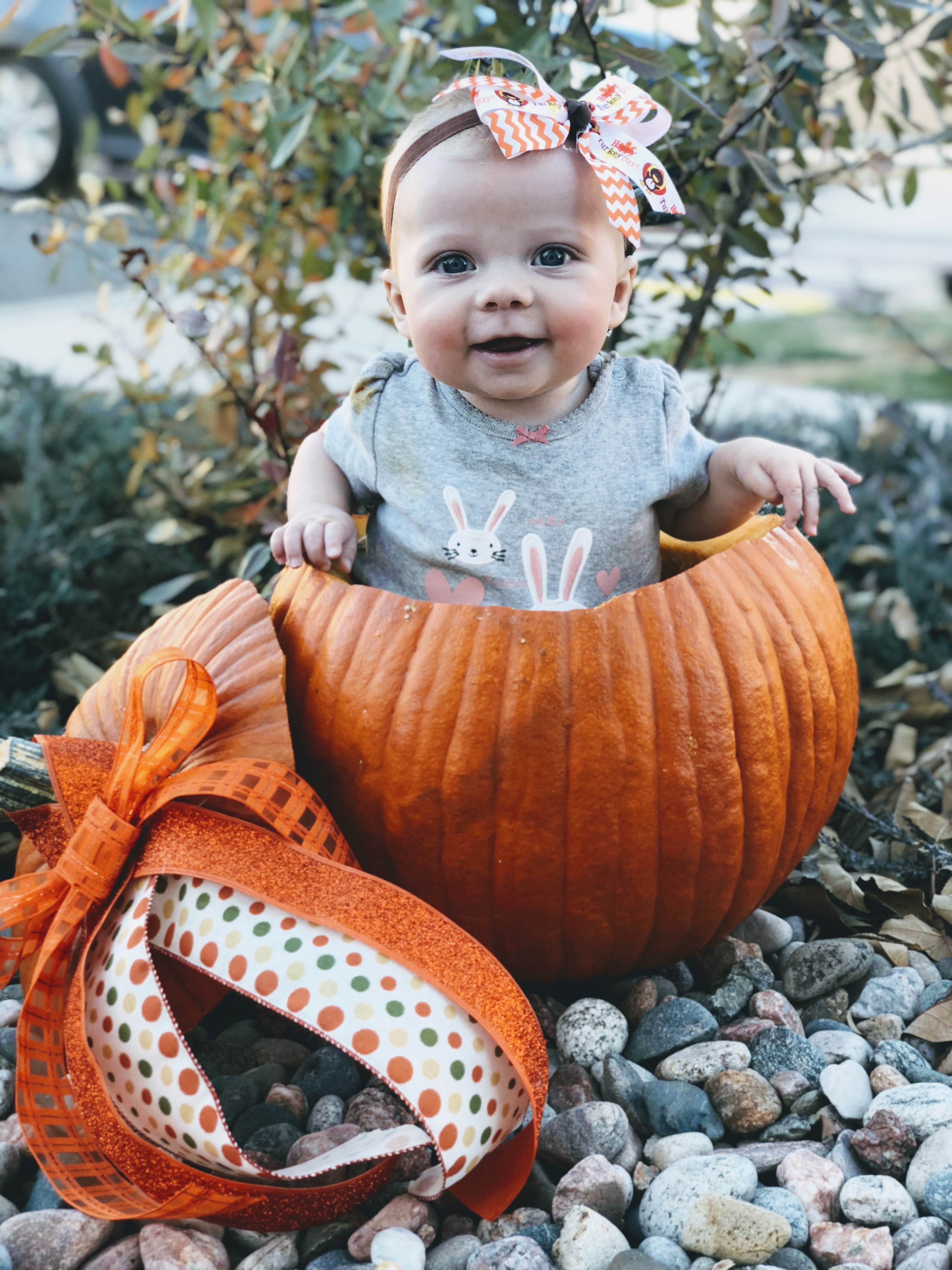 Newborn photo of Zoey 0 months to 12 months